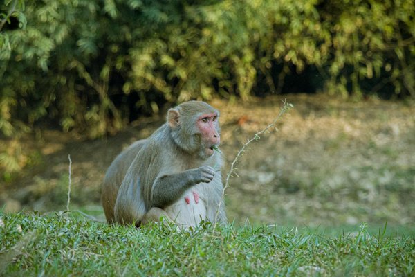 Décodage des messages d'amour à 13h13 : signes ou coïncidences ?