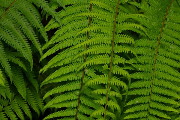 Énergie renouvelable : solutions durables pour votre habitat