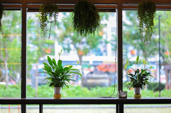 Découvrez comment le panneau solaire photovoltaïque transforme votre énergie durable