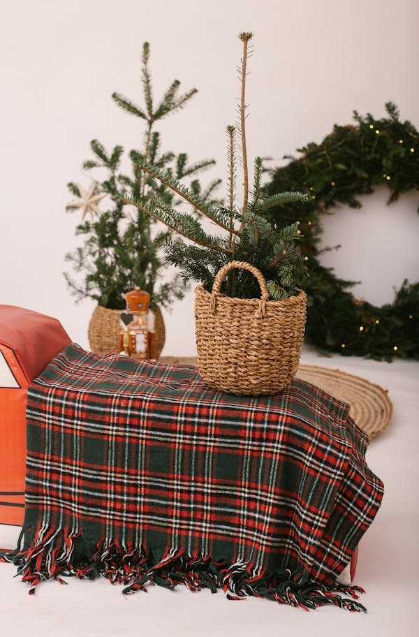 Plaid : cocooning, luxe et écologique pour toutes les saisons